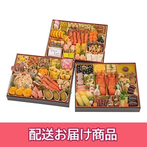 �y�z���z 46 ���s�_�� ���� �a�R �a�������� �O�i�d�u�����v